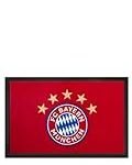 Vergleich der FC Bayern Oberteile: Analyse der besten Fußballtrikots und mehr