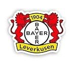 Bayer Leverkusen Onlineshop: Analyse und Vergleich der besten Fußballtrikots und Fanartikel