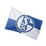 Der ultimative Vergleich von Schalke Trikots: Analyse von Schalke Shop.de und mehr