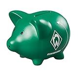 Analyse und Vergleich: Die neuesten Werder Fanshop Neuheiten im Trikot-Vergleich