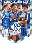 Analyse und Vergleich von Schalke 2023 Trikots: Die neuesten Designs unter der Lupe