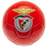 Benfica Store: Analyse und Vergleich der besten Fußballtrikots und Fanartikel